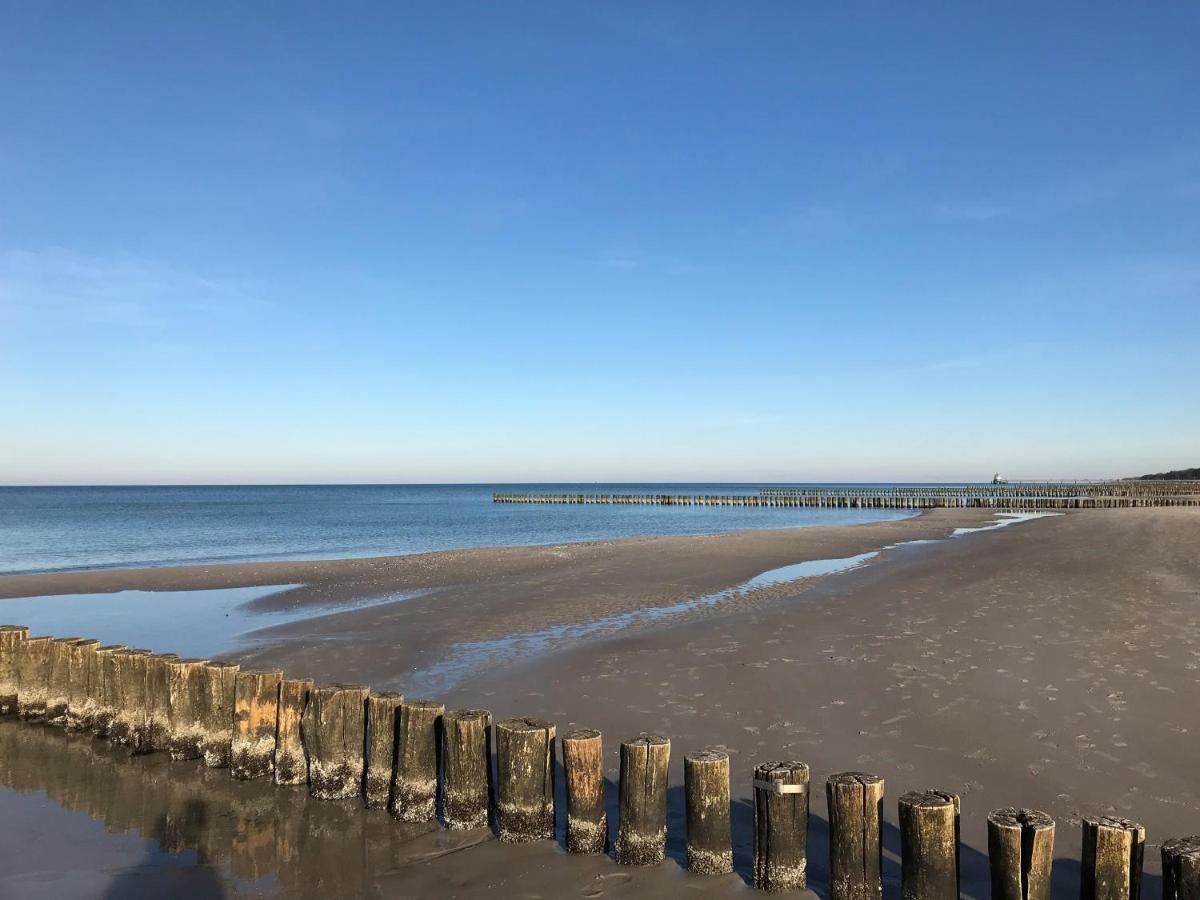 Traumhaus Unter Reet Lägenhet Zingst Exteriör bild