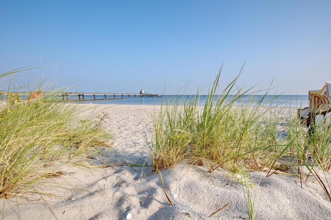 Traumhaus Unter Reet Lägenhet Zingst Exteriör bild